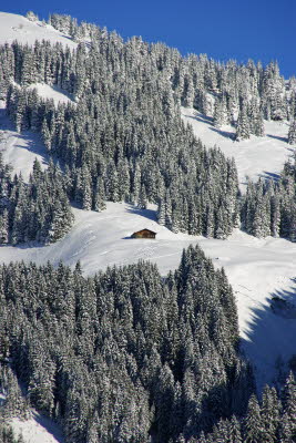 Einsame H�tte bei Mittelberg